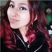 Profesor de apoyo y acompañamiento estudiantil